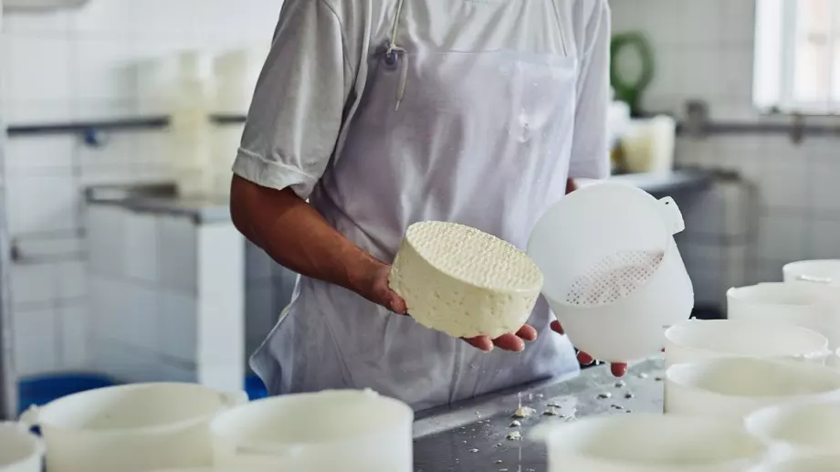 Всичко, което мандрите НЕ искат да знаете