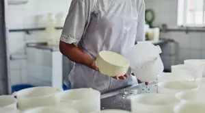 ЕК одобри "Българско бяло саламурено сирене" за защитено наименование за произход
