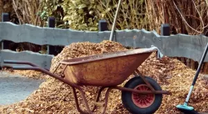 Почистете двора си като използвате хамалски услуги в София