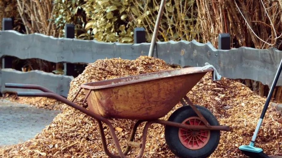 Почистете двора си като използвате хамалски услуги в София
