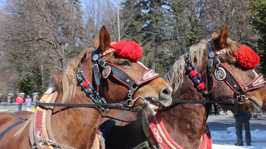 Традиции и обичаи на Тодоровден  