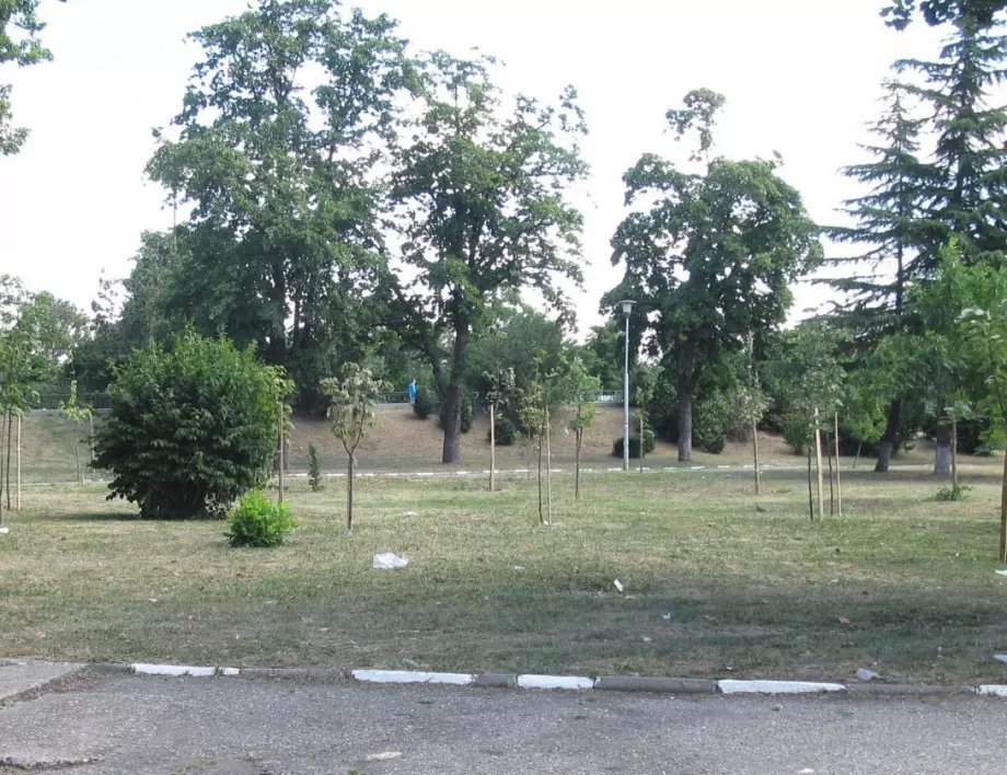 Асеновградчани избраха мястото за изграждане на кучешка площадка