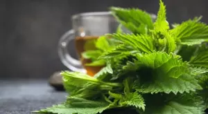 Тази пролетна билка е най-мощното средство за пречистване на кръвта