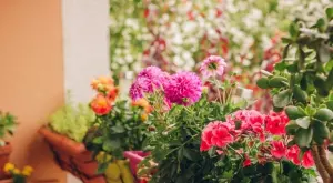 Саксии и изкуствени цветя – каква е ролята им за декориране на интериора и екстериора?