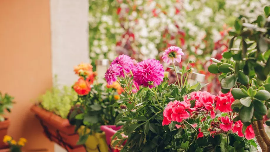 Саксии и изкуствени цветя – каква е ролята им за декориране на интериора и екстериора?