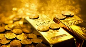 2022/03/17/0831985001647523244