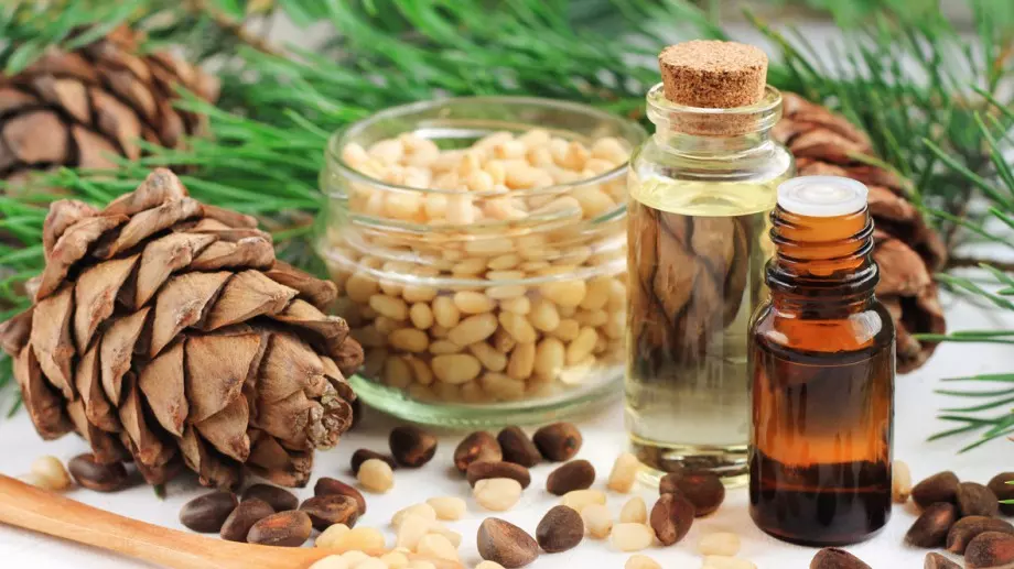 Кедър – дървото, което лекува