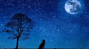 Вълча Луна на 25 януари: Какво означава и какво носи първото пълнолуние за 2024