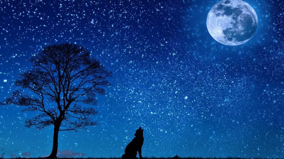 Вълча Луна на 25 януари: Какво означава и какво носи първото пълнолуние за 2024