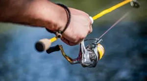 2022/03/22/0697281001647963926