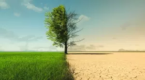 Българската политика за борба с климатичните промени - има ли я изобщо?