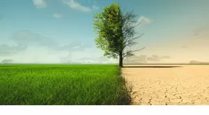 Колко скъпи са промените в климата?