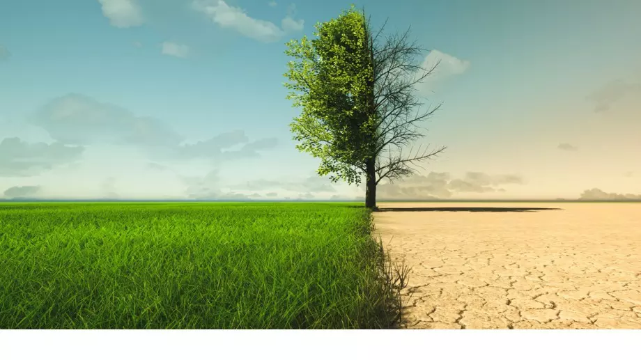 Колко скъпи са промените в климата?