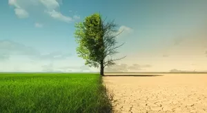 ООН с предупреждение: Светът няма да успее да ограничи ръста на глобалните температури до 1,5°C