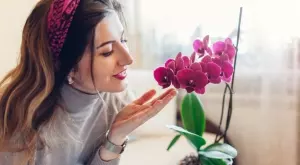 Полейте няколко пъти орхидеята си с това и резултатът ще ви изненада