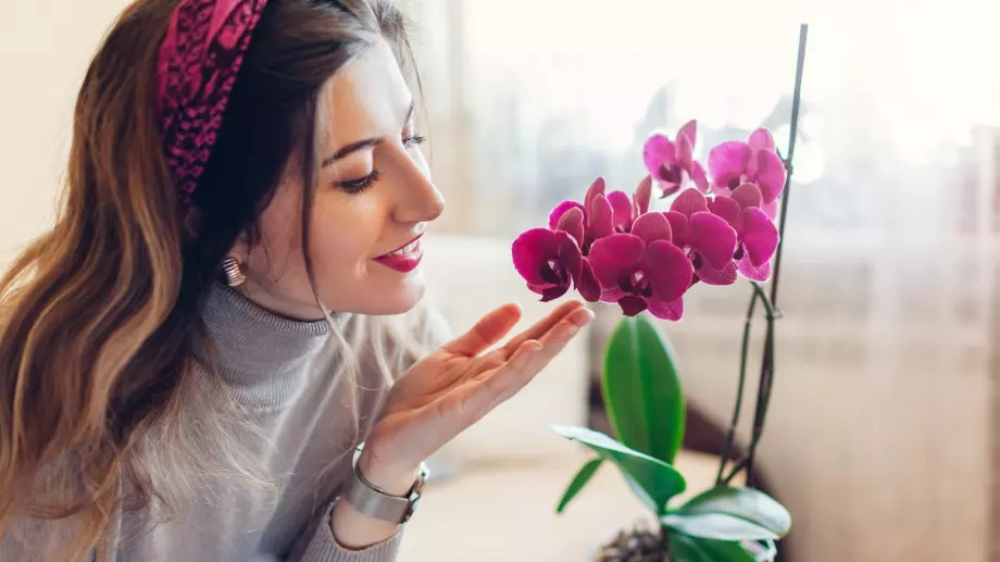 Полейте няколко пъти орхидеята си с това и резултатът ще ви изненада