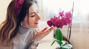 Тази подправка ще накара орхидеята да цъфти пищно и дълго