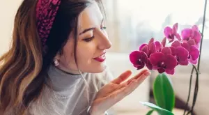 Благодарение на тези няколко правила, орхидеите ще са отрупани в цветове