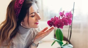 Орхидеята ще цъфти по-дълго, ако я поливате така