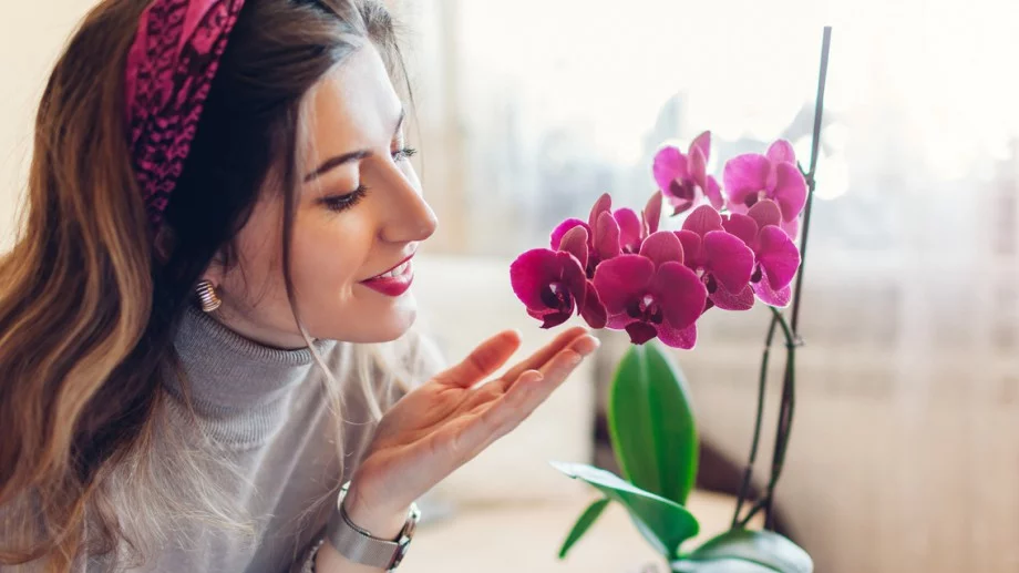 Кога орхидеята НЕ трябва да се подрязва - много домакини допускат тази грешка