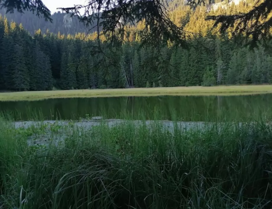 Ще проучват най-голямото свлачище в България – Смолянски езера