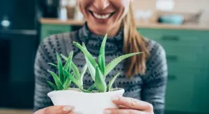 Цветята-лечители, които задължително трябва да присъстват във всеки дом