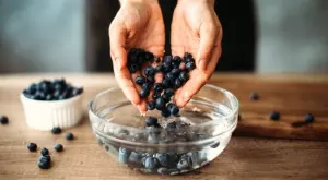 Как да отгледате вкусни боровинки, които да берете години наред