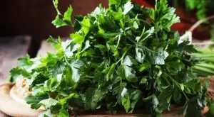 Този прост лек с магданоз чисти камъни в бъбреците