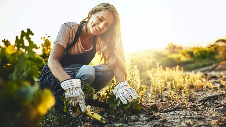 Заровете това в градината и няма да ви се налага да поливате често