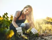 5 ползи за здравето от градинарството
