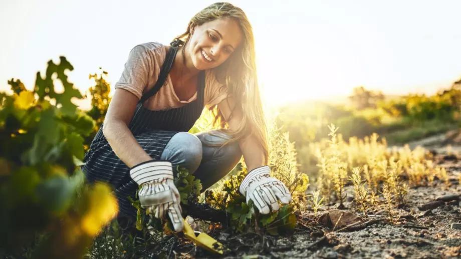 Заровете банан и яйце в градината си и вижте какво ще се случи