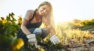 Ето какви семена да засадите през началото на април