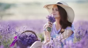 Страхотните ползи от лавандулата