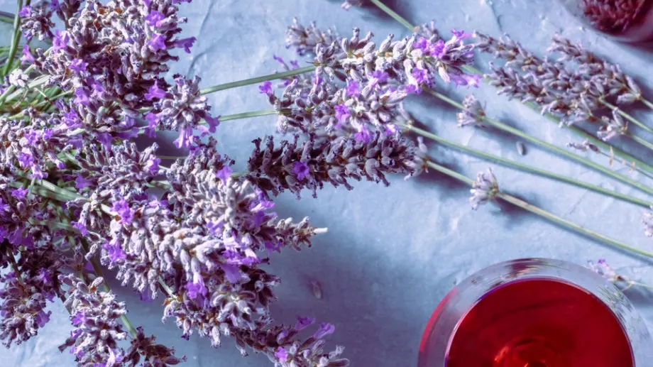 Това са 7 – те растения, които ще ви позволят да спите като къпани 