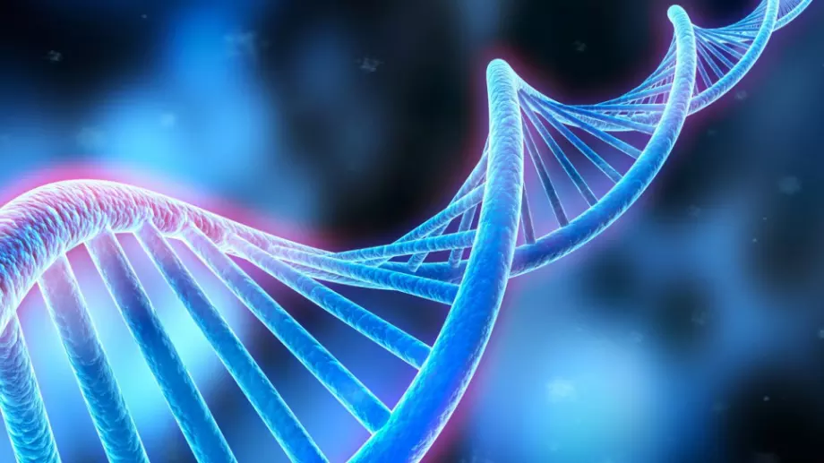 Книга разкрива как да променим "мръсните" ни гени и да бъдем по-здрави