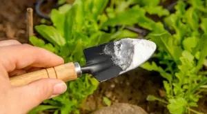 Триковете със сода, които всеки градинар трябва да знае