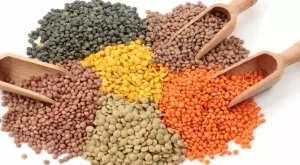 Каква е разликата между червената, кафявата и зелената леща