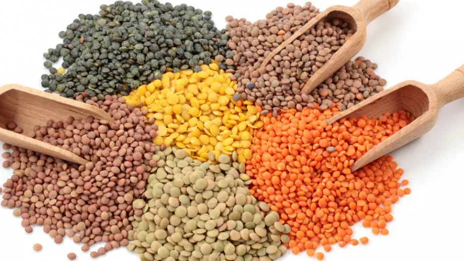 Каква е разликата между червената, кафявата и зелената леща