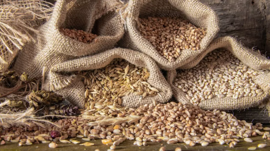 Русия съкрати срока удъжлената зърнена сделка наполовина от 120 на 60 дни