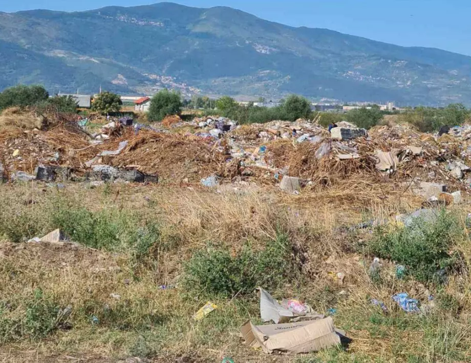 Асеновград съобщи колко е събрал от глоби за незаконно хвърляне на боклук