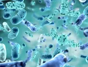 ООН отново предупреди за опасността от супербактериите