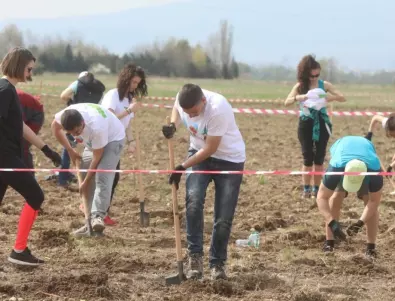 Кампанията „Залесяваме активно“ на Нестле вече има своите първи резултати и в България