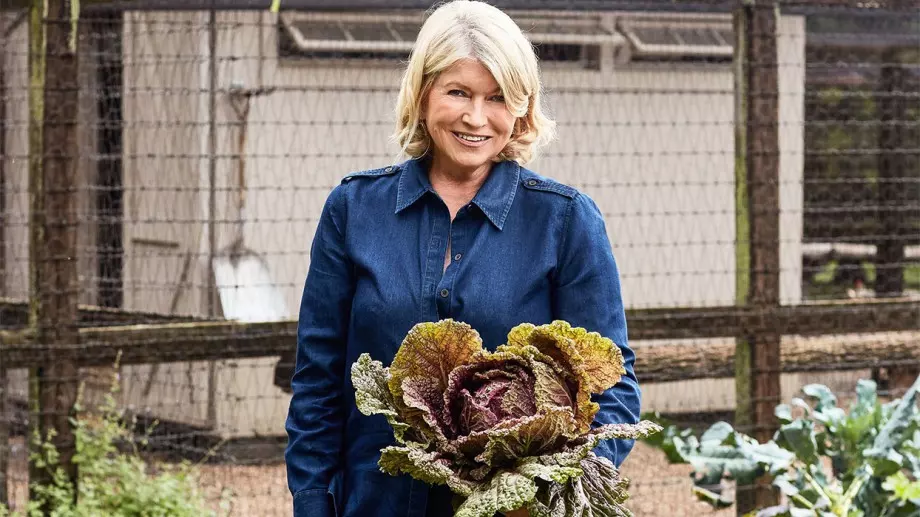 Как да си направите зеленчукова леха според Марта Стюарт