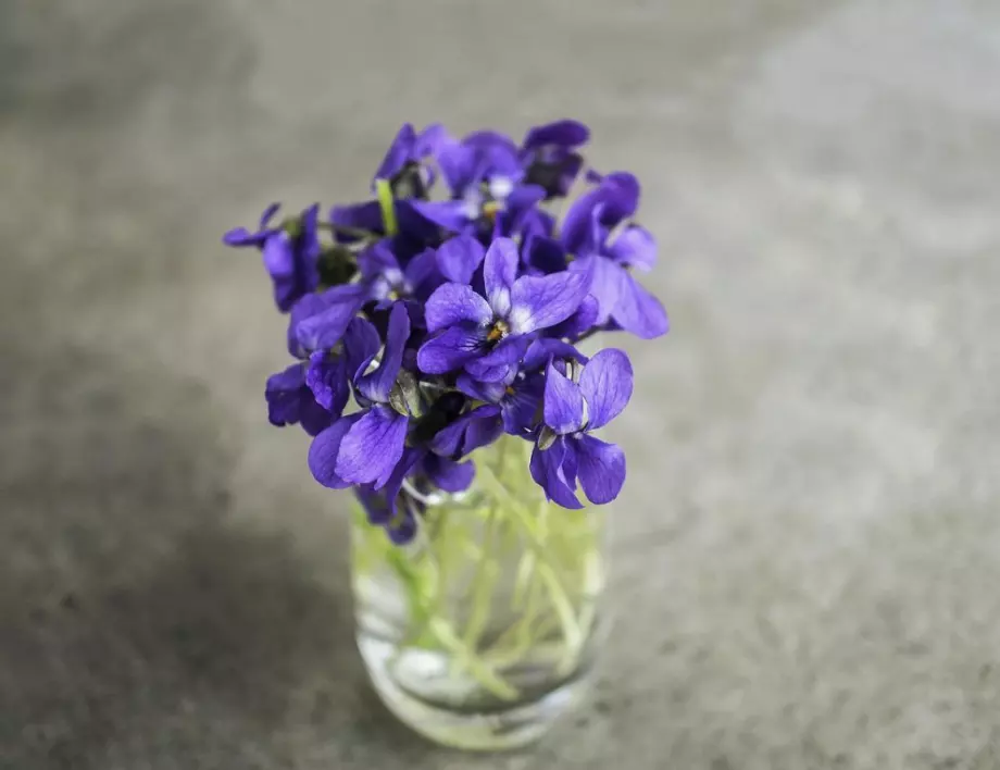 Цветя, които ще ви донесат късмет в любовта