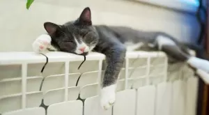 Каква е ролята на радиаторите в отоплителната система