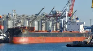 Над 23 милиона тона зърно и маслодайни семена остават блокирани в украинските пристанища