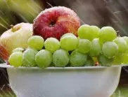 Вредна ли е за захарта в плодовете