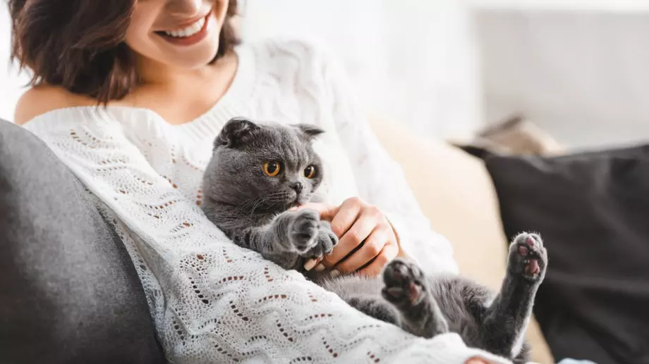 Петър Дънов за котката: Когато дойде котка у един дом, този дом прогресира