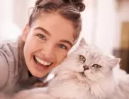 3-те вида котки, които носят щастие на човек