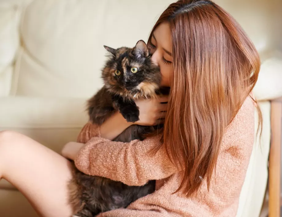 Лекар разкри защо хората с високо кръвно трябва да имат котка у дома
